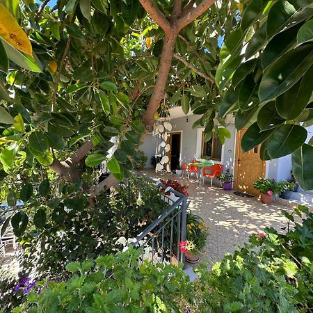 Albi'S Guesthouse クサミル エクステリア 写真