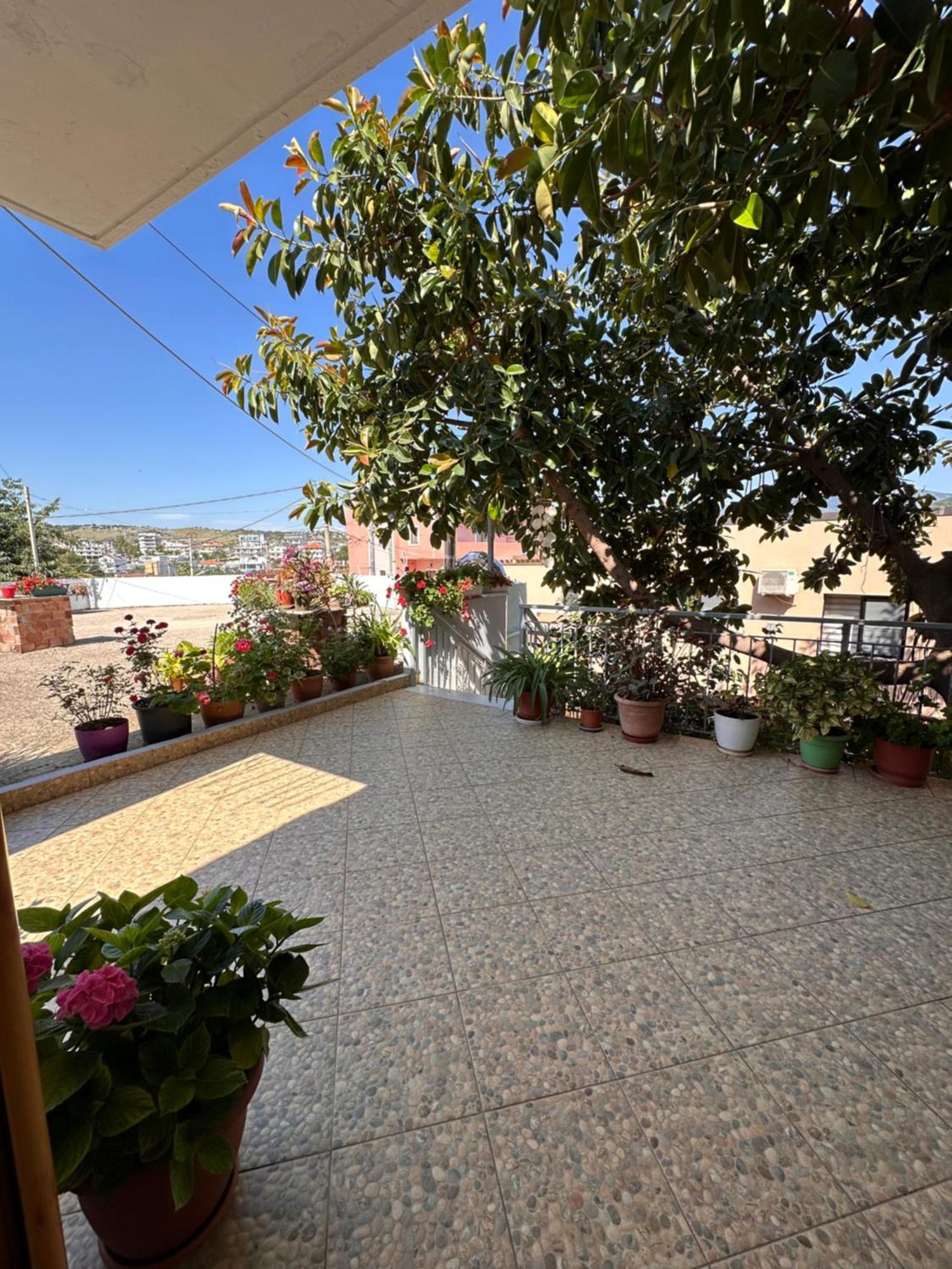 Albi'S Guesthouse クサミル エクステリア 写真