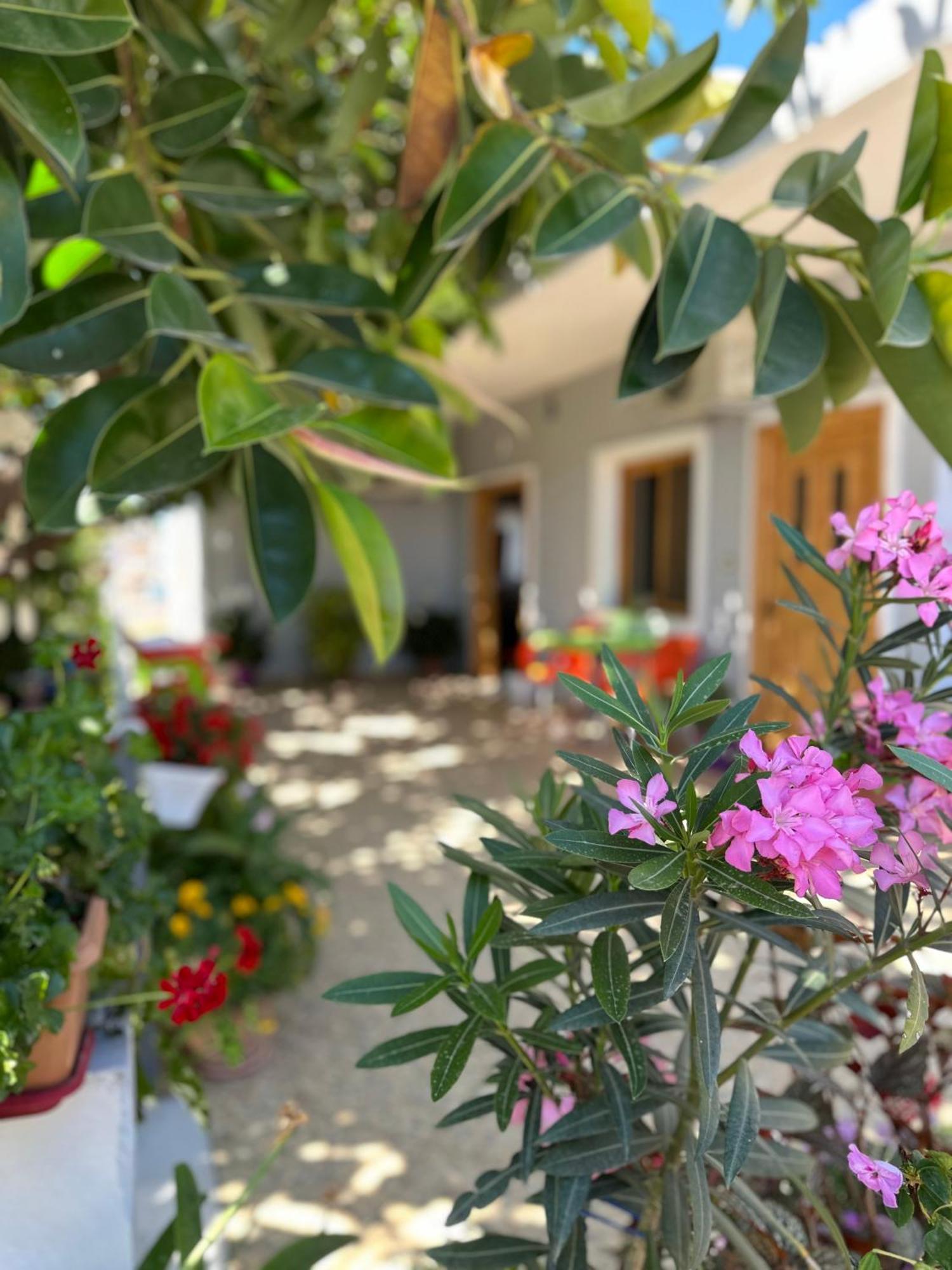 Albi'S Guesthouse クサミル エクステリア 写真