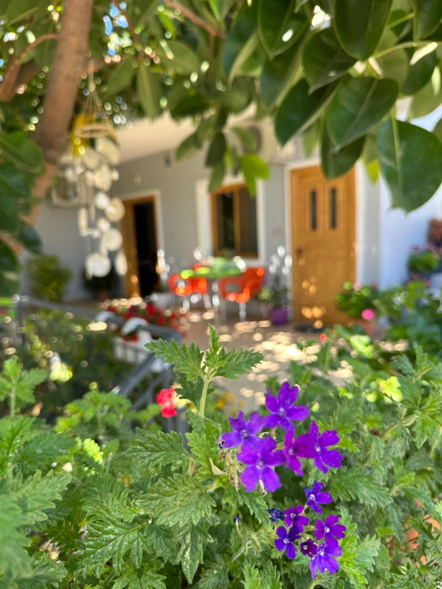 Albi'S Guesthouse クサミル エクステリア 写真