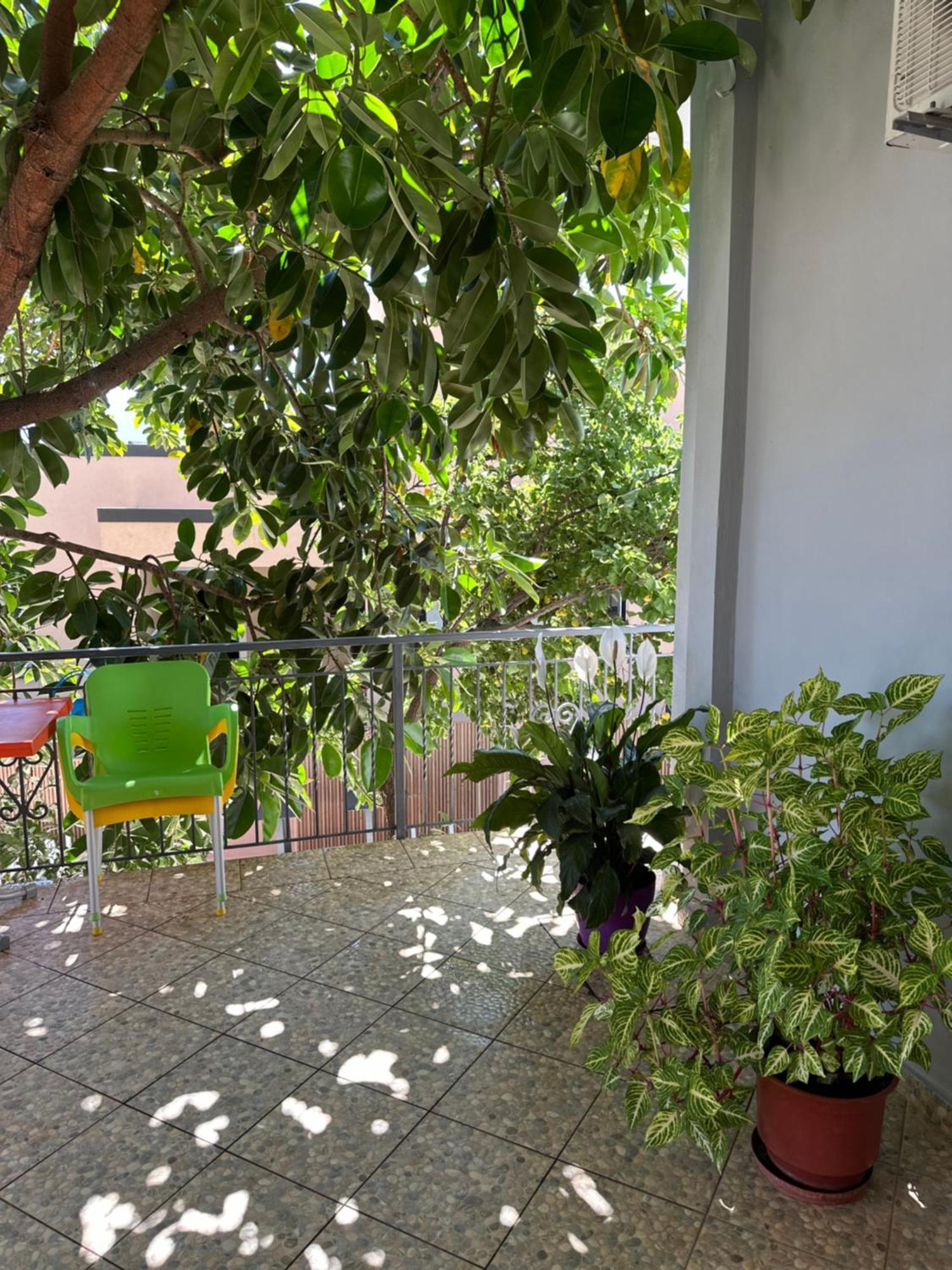 Albi'S Guesthouse クサミル エクステリア 写真