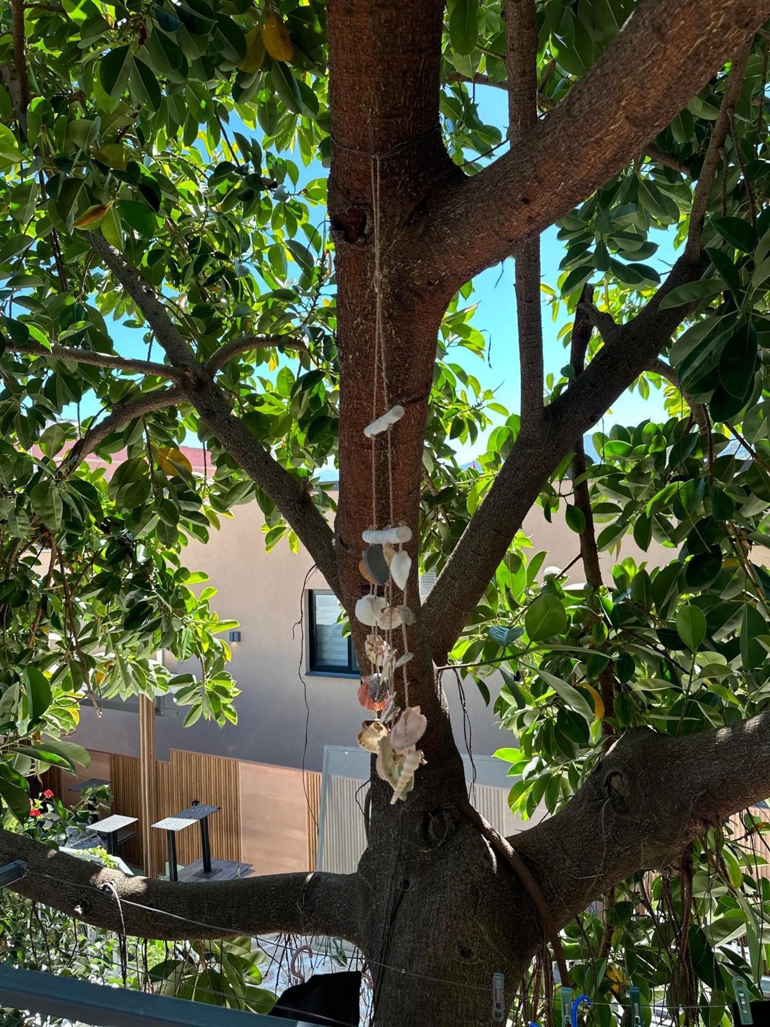 Albi'S Guesthouse クサミル エクステリア 写真
