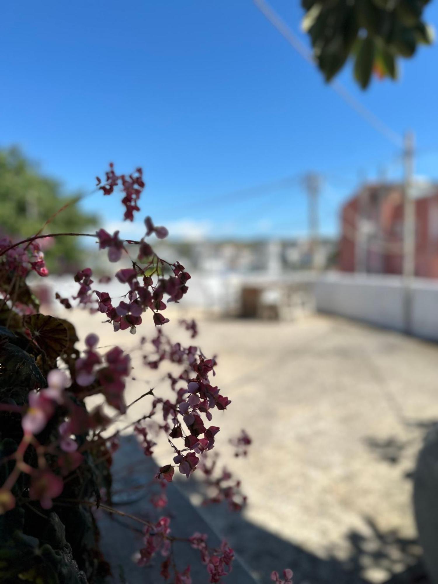 Albi'S Guesthouse クサミル エクステリア 写真